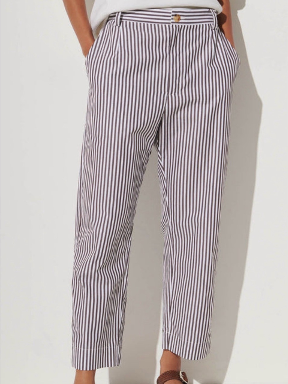 Rachel Comey Wiman Pants in Stripe Shirting Brown Size 0
